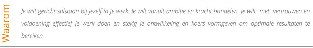 Individuele coaching kop